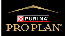 Pro Plan