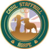 Staffbull Agape 